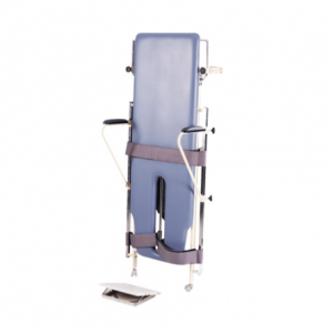 Ankle Training Device