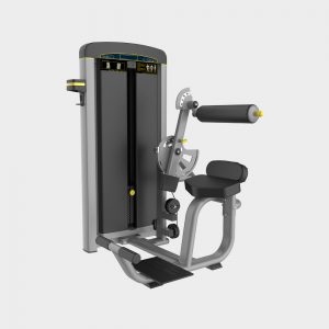 Back Exercise Machine