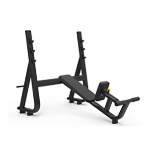 Seated Chest Press