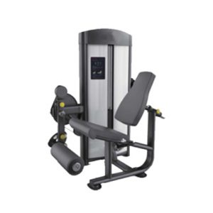 Leg Extension