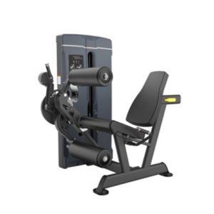 Leg Extension / Leg Curl