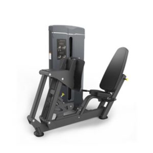 Leg Press / Calf Extension