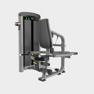 Fitness Triceps Extension Machine