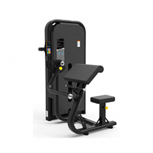 Gym Machine for Biceps Training