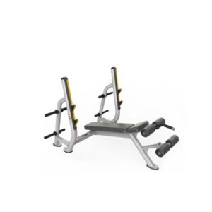 Bench Press Rack