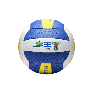 宇生富气排球