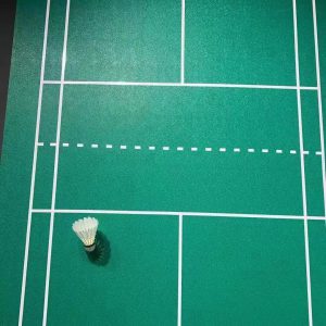 艾力特羽毛球地胶