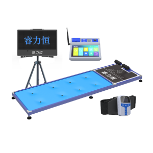 睿力恒仰卧起坐测试仪