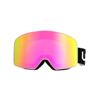 Ski Goggles 